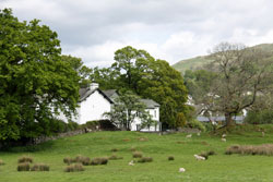 Dogs welcome holiday cottages northern England