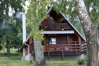 log cabins set in woodland