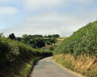 country lanes edged by hedgerows
